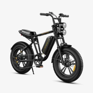 ENGWE M20 - VTT Électrique Fat Bike Tout Suspendu - Style Moto