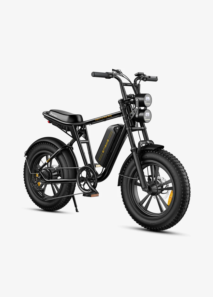 ENGWE M20 - VTT Électrique Fat Bike Tout Suspendu - Style Moto