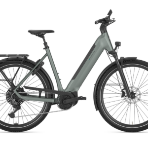 Gazelle Ultimate T11