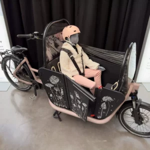 Vélo Cargo électrique F900E Canopy