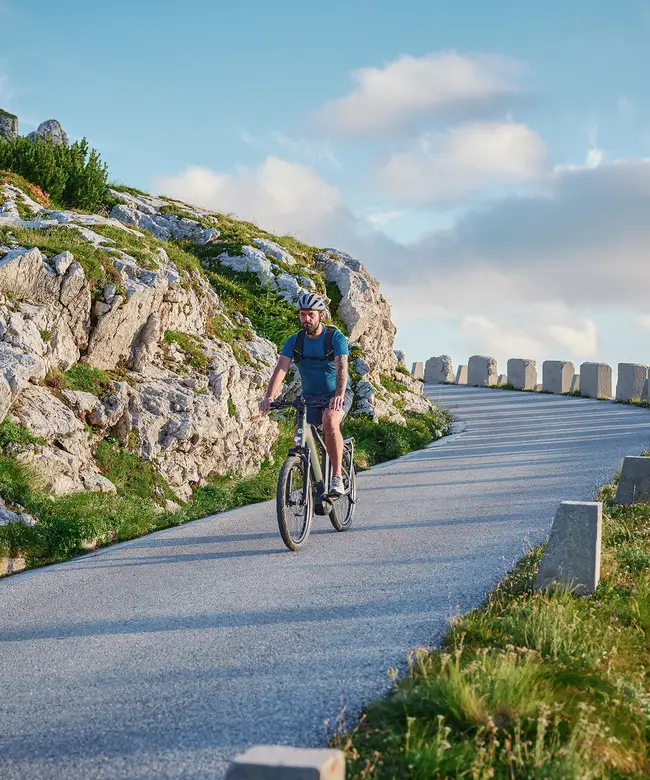 Vélo électrique Trekking Gazelle Eclipse Speed – Image 3