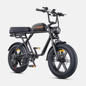 ENGWE M1