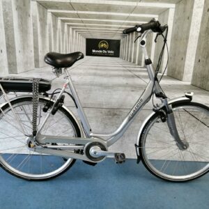 Gazelle Arroyo