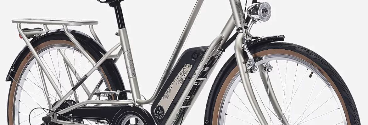 Nakamura E-City LTD