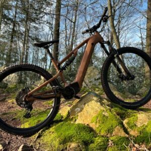 Rockrider E-EXPL 700