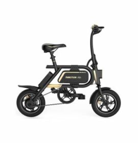 Inmotion P2F