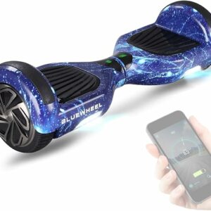 Bluewheel HX310s