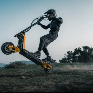 Inmotion RS Lite